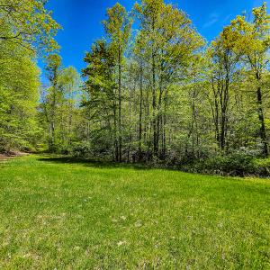 Photo #30 of Off Fire Trail Ln, Stuart, VA 585.0 acres