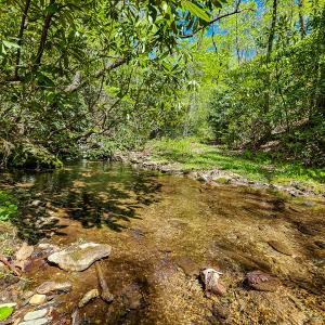 Photo #33 of Off Fire Trail Ln, Stuart, VA 585.0 acres