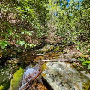 Photo #34 of Off Fire Trail Ln, Stuart, VA 585.0 acres