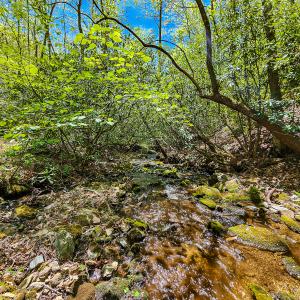 Photo #36 of Off Fire Trail Ln, Stuart, VA 585.0 acres