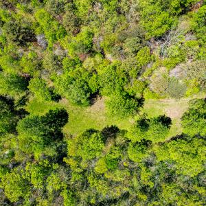 Photo #39 of Off Fire Trail Ln, Stuart, VA 585.0 acres