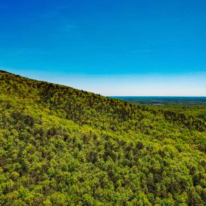 Photo #40 of Off Fire Trail Ln, Stuart, VA 585.0 acres