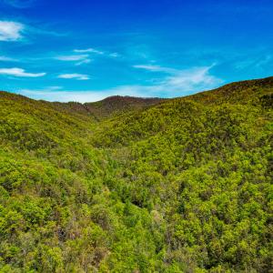 Photo #42 of Off Fire Trail Ln, Stuart, VA 585.0 acres