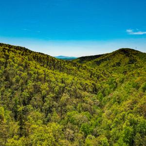 Photo #43 of Off Fire Trail Ln, Stuart, VA 585.0 acres
