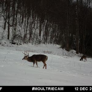Photo #44 of Off Fire Trail Ln, Stuart, VA 585.0 acres