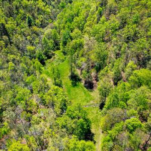 Photo #45 of Off Fire Trail Ln, Stuart, VA 585.0 acres