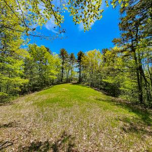 Photo #47 of Off Fire Trail Ln, Stuart, VA 585.0 acres