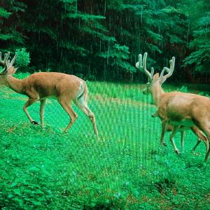 Photo #48 of Off Fire Trail Ln, Stuart, VA 585.0 acres