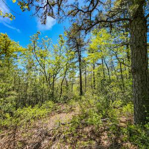 Photo #49 of Off Fire Trail Ln, Stuart, VA 585.0 acres