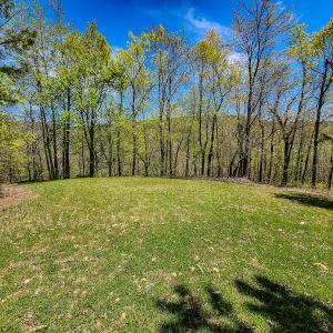 Photo #50 of Off Fire Trail Ln, Stuart, VA 585.0 acres