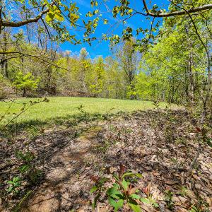 Photo #53 of Off Fire Trail Ln, Stuart, VA 585.0 acres