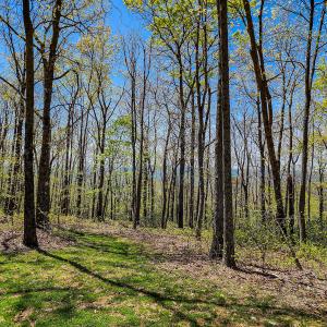 Photo #58 of Off Fire Trail Ln, Stuart, VA 585.0 acres