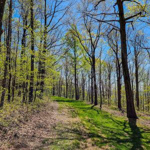 Photo #60 of Off Fire Trail Ln, Stuart, VA 585.0 acres