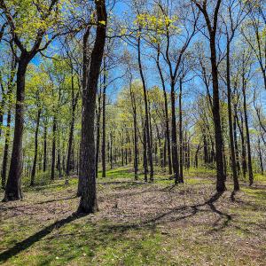 Photo #61 of Off Fire Trail Ln, Stuart, VA 585.0 acres