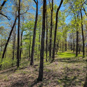 Photo #62 of Off Fire Trail Ln, Stuart, VA 585.0 acres