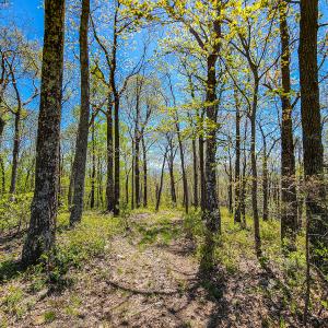 Photo #63 of Off Fire Trail Ln, Stuart, VA 585.0 acres