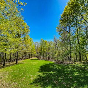 Photo #64 of Off Fire Trail Ln, Stuart, VA 585.0 acres