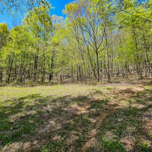 Photo #67 of Off Fire Trail Ln, Stuart, VA 585.0 acres