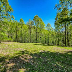Photo #69 of Off Fire Trail Ln, Stuart, VA 585.0 acres
