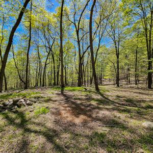 Photo #71 of Off Fire Trail Ln, Stuart, VA 585.0 acres