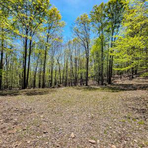 Photo #72 of Off Fire Trail Ln, Stuart, VA 585.0 acres