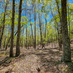 Photo #74 of Off Fire Trail Ln, Stuart, VA 585.0 acres