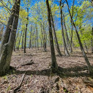 Photo #75 of Off Fire Trail Ln, Stuart, VA 585.0 acres