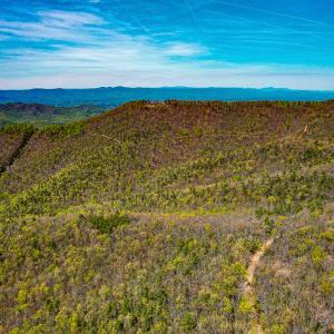 Photo #79 of Off Fire Trail Ln, Stuart, VA 585.0 acres