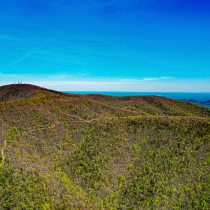 Photo #83 of Off Fire Trail Ln, Stuart, VA 585.0 acres