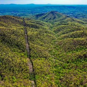 Photo #84 of Off Fire Trail Ln, Stuart, VA 585.0 acres