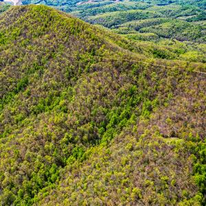 Photo #85 of Off Fire Trail Ln, Stuart, VA 585.0 acres
