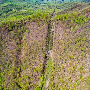 Photo #86 of Off Fire Trail Ln, Stuart, VA 585.0 acres