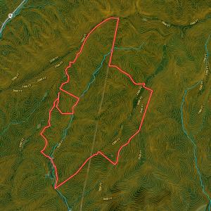 Photo #89 of Off Fire Trail Ln, Stuart, VA 585.0 acres