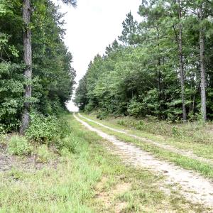 Photo #15 of 23144 Southampton Parkway , Courtland, VA 230.0 acres