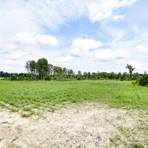 Photo #17 of 23144 Southampton Parkway , Courtland, VA 230.0 acres