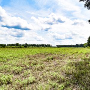 Photo #18 of 23144 Southampton Parkway , Courtland, VA 230.0 acres