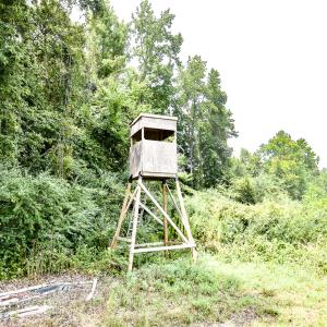 Photo #19 of 23144 Southampton Parkway , Courtland, VA 230.0 acres