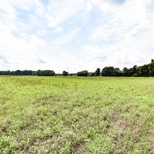 Photo #20 of 23144 Southampton Parkway , Courtland, VA 230.0 acres