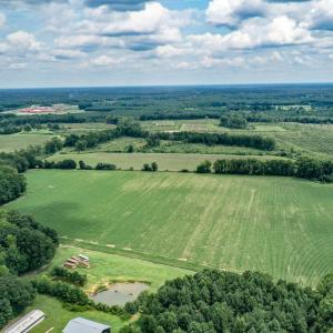 Photo #3 of 23144 Southampton Parkway , Courtland, VA 230.0 acres