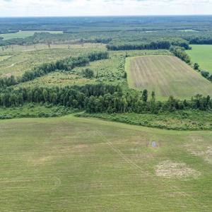 Photo #29 of 23144 Southampton Parkway , Courtland, VA 230.0 acres