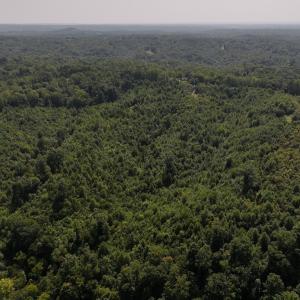 Photo #11 of 03 Seven Island Road, Danbury, NC 24.2 acres