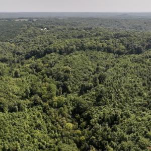 Photo #13 of 03 Seven Island Road, Danbury, NC 24.2 acres