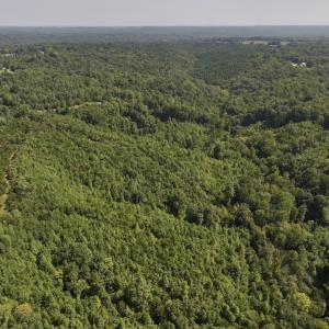 Photo #14 of 03 Seven Island Road, Danbury, NC 24.2 acres