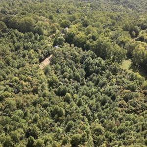 Photo #17 of 03 Seven Island Road, Danbury, NC 24.2 acres