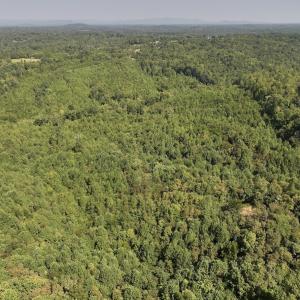 Photo #19 of 03 Seven Island Road, Danbury, NC 24.2 acres