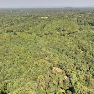 Photo #20 of 03 Seven Island Road, Danbury, NC 24.2 acres