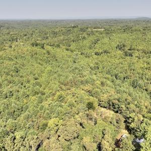 Photo #5 of 03 Seven Island Road, Danbury, NC 24.2 acres