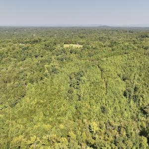 Photo #8 of 03 Seven Island Road, Danbury, NC 24.2 acres