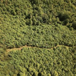 Photo #9 of 03 Seven Island Road, Danbury, NC 24.2 acres
