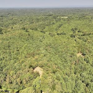 Photo #21 of 03 Seven Island Road, Danbury, NC 24.2 acres
